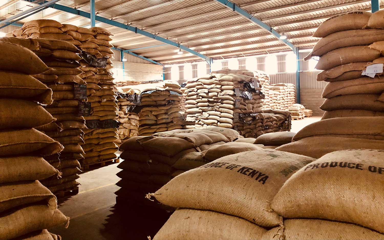 warehouse of brown burlap sacks storing coffee beans