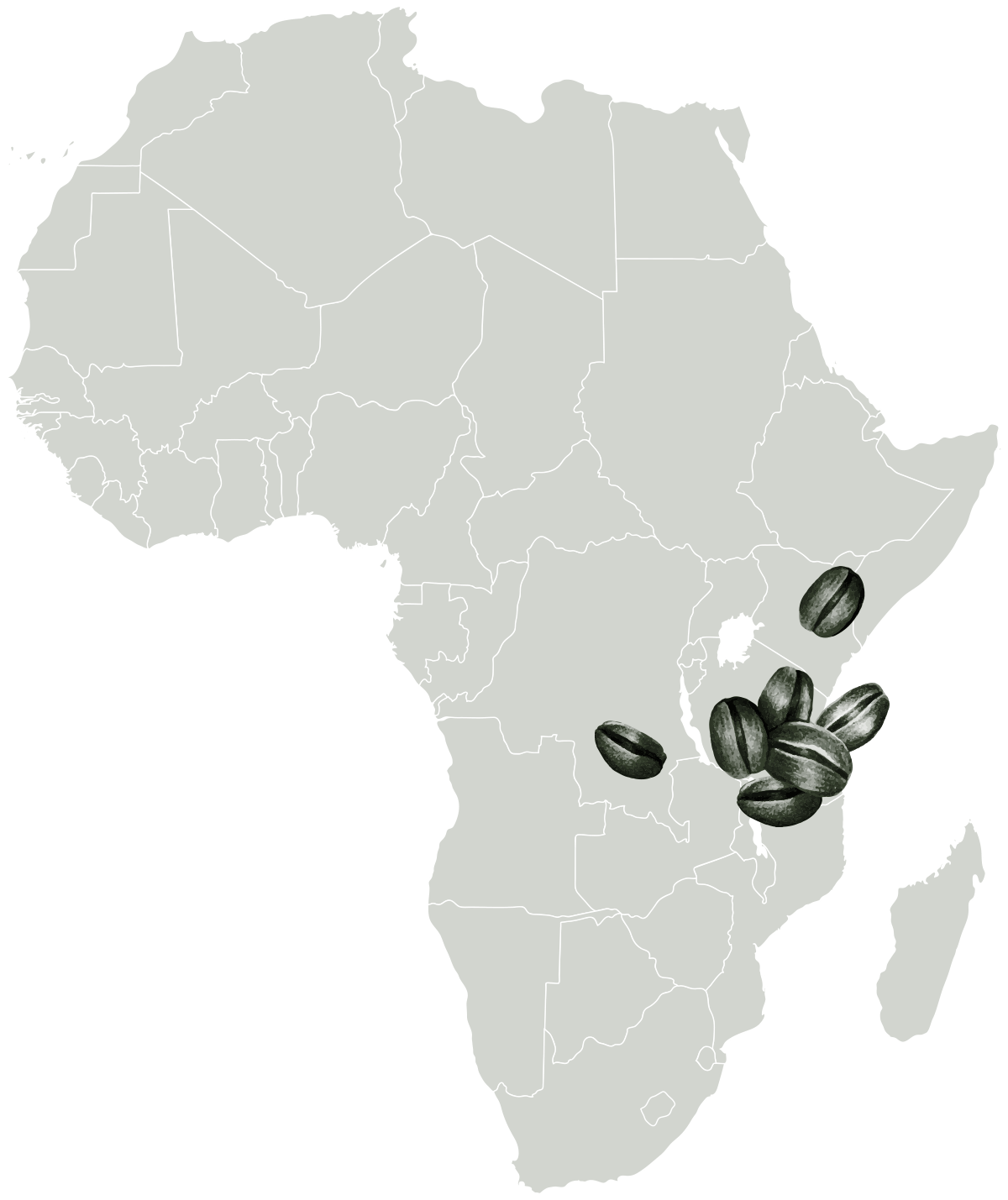 map of Africa with coffee bean map markers highlighting East African countries